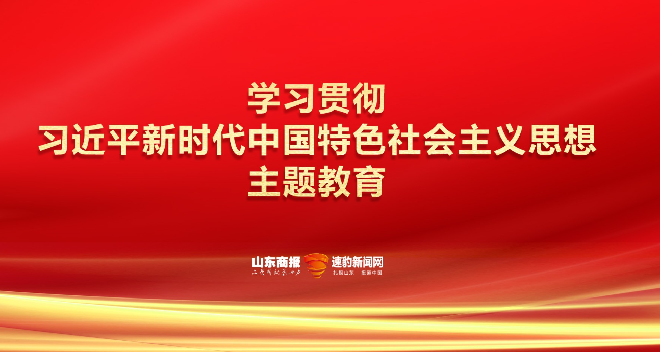 魯商集團(tuán)：做好“結(jié)合”文章，多層次立體化推動主題教育走深走實